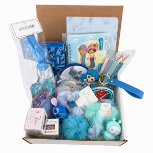 Blue Aesthetic Back to School Stationery & Accessories Gift Set for Teens