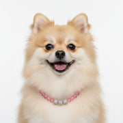 Elegant pink pearl dog collar with secure metal clasp, perfect for weddings and pet photo shoots.