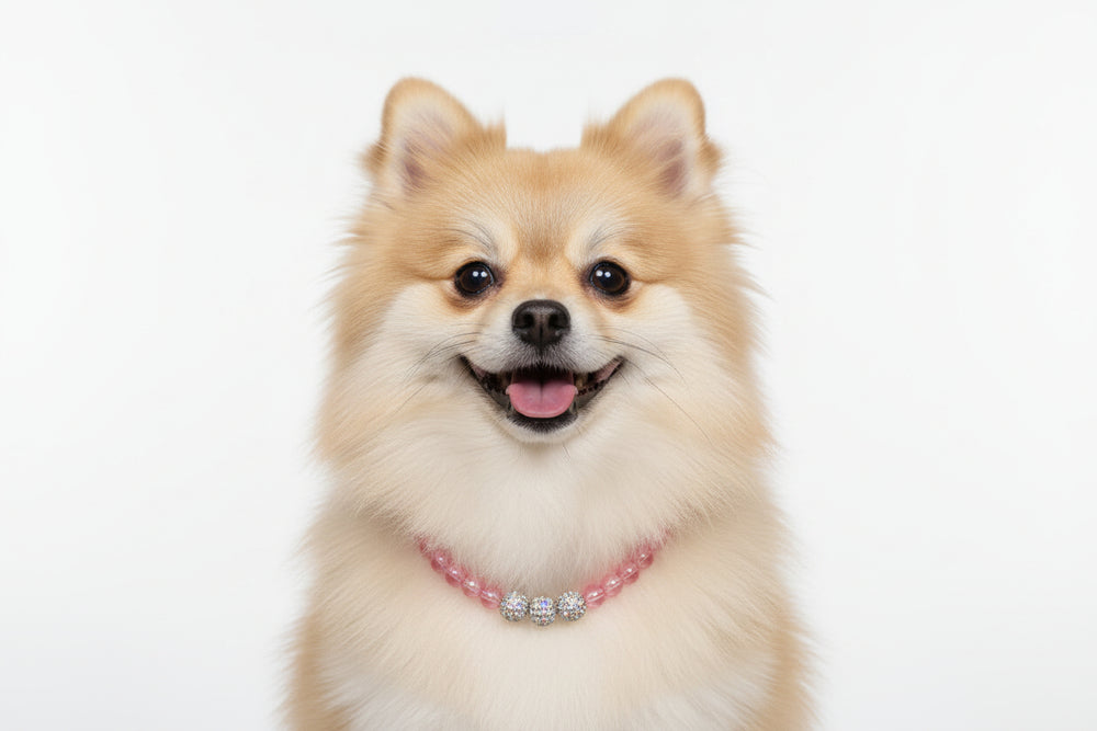 Elegant pink pearl dog collar with secure metal clasp, perfect for weddings and pet photo shoots.