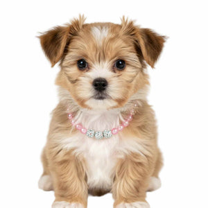 Pink Pearl Necklace Collar for Dogs | Elegant Faux Pearl Dog Jewelry 12.5"