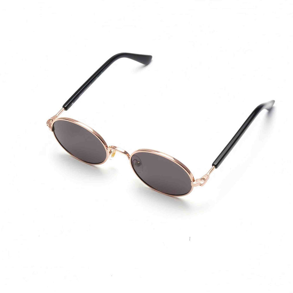 XS dog wearing cute sunglasses - adorable pet eyewear for small dogs and cats