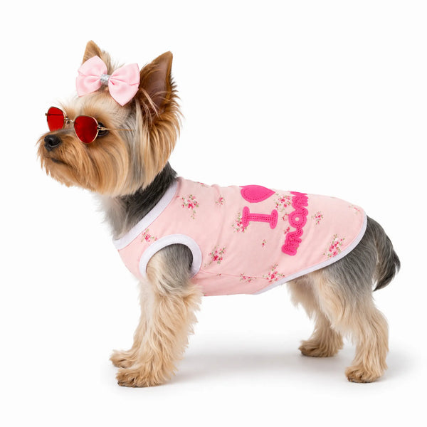 Yorkshire Terrier in princess dog outfit with tutu, bow and sunglasses for pet photos